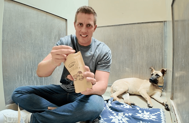 sitting-with-dogs-99-dylan